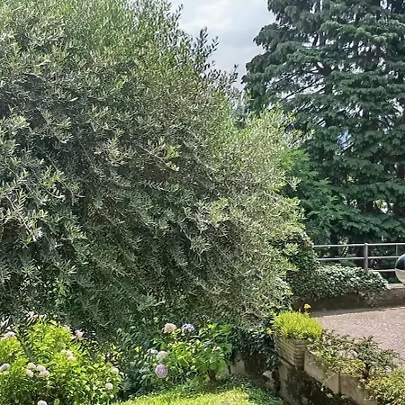Casa Brumani Όπως