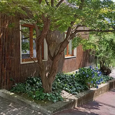 Casa Brumani Διαμέρισμα Όπως