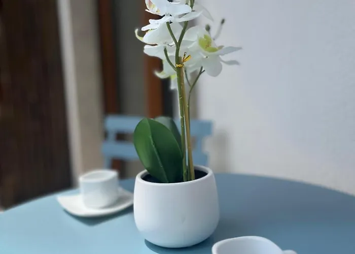 Casa Brumani Apartmán *